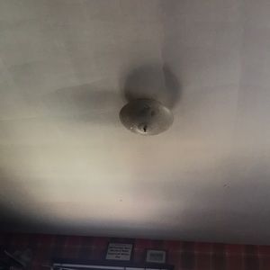 Meet your Posher, Harry